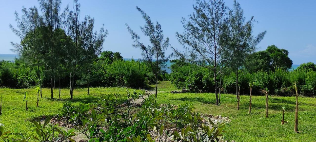 Amani Villas Nature Retreat Michamvi Kae Exterior photo